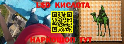 гашик Славянск-на-Кубани