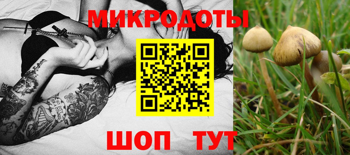 Псилоцибиновые грибы прущие грибы Реутов