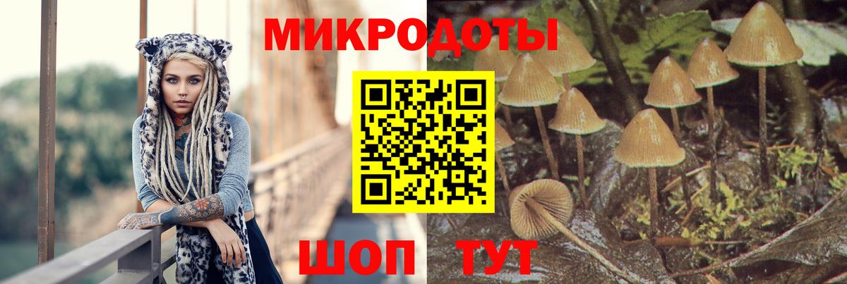 Реутов  Галлюциногенные грибы GOLDEN TEACHER  Вход с VPN 